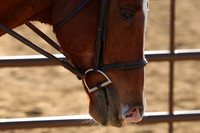 IMG_4911CRD2