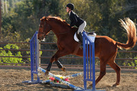 IMG_5343CRD2