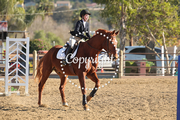 IMG_5356CRD2