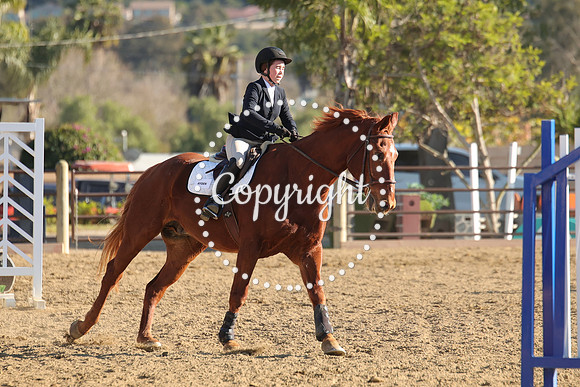 IMG_5358CRD2