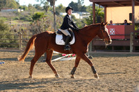 IMG_5372CRD2