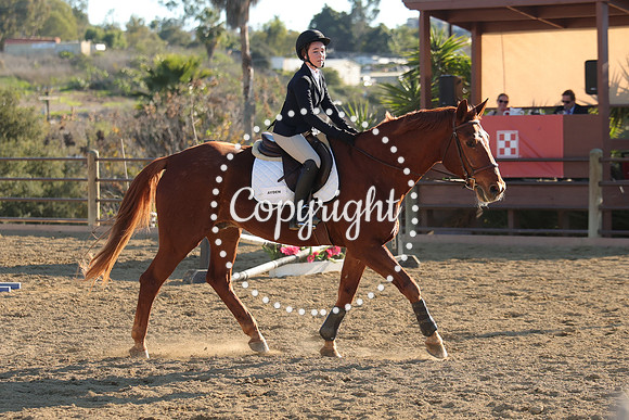 IMG_5372CRD2