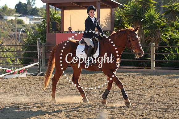 IMG_5374CRD2