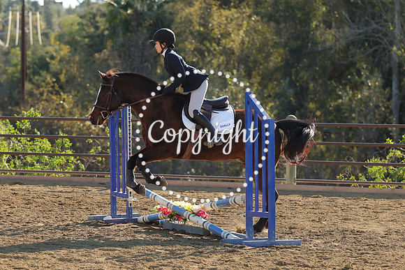 IMG_5049CRD2