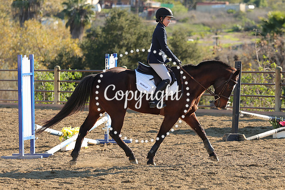 IMG_5082CRD2