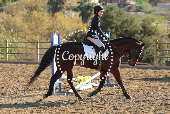 IMG_5076CRD2