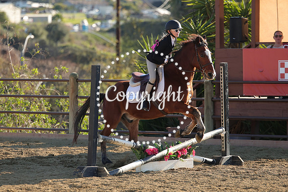 IMG_5285CRD2