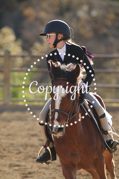 IMG_5291CRD2