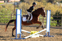 IMG_5295CRD2