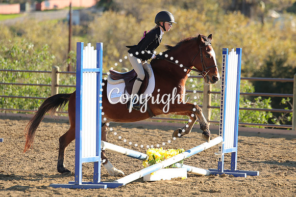 IMG_5295CRD2
