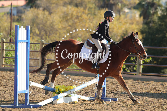 IMG_5299CRD2
