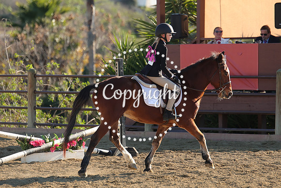 IMG_5311CRD2
