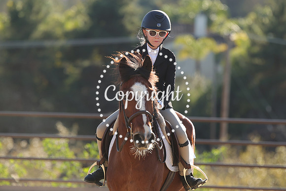 IMG_5327CRD2