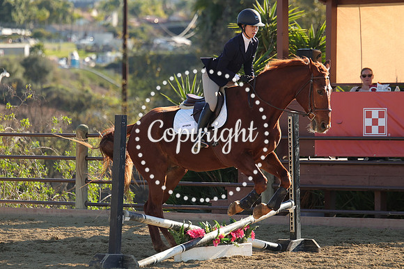 IMG_5242CRD2