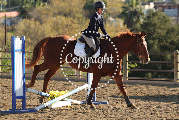 IMG_5255CRD2