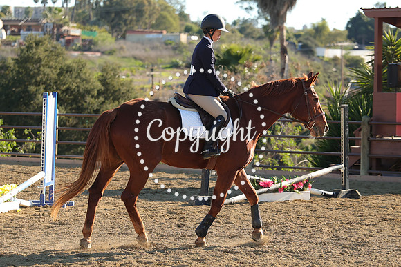 IMG_5259CRD2