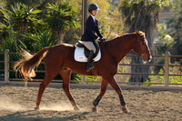 IMG_5261CRD2