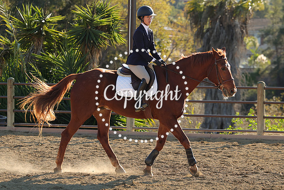IMG_5261CRD2