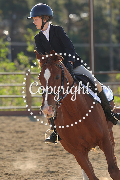 IMG_5196CRD2