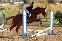 IMG_5199CRD2