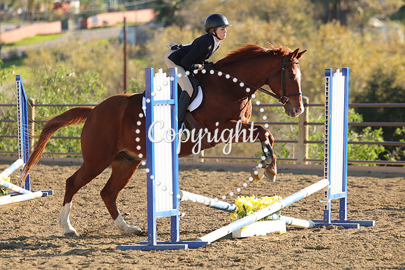 IMG_5199CRD2