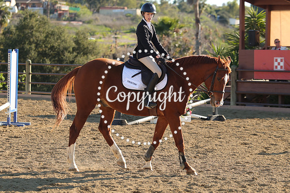 IMG_5215CRD2