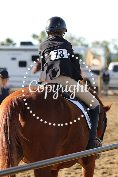 IMG_5221CRD2