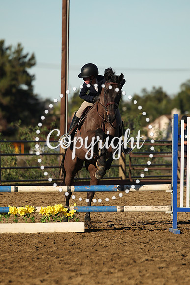 IMG_1201CRD1