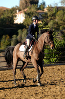IMG_1194CRD1