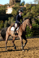 IMG_1195CRD1