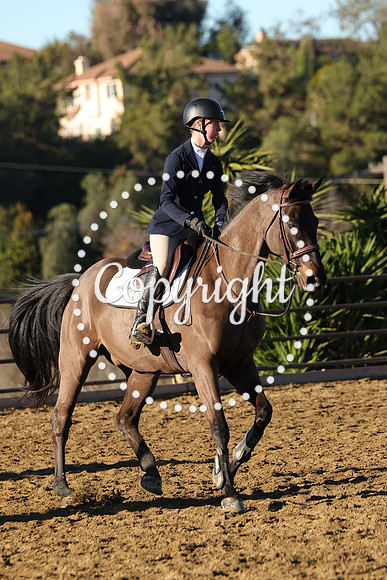 IMG_1195CRD1