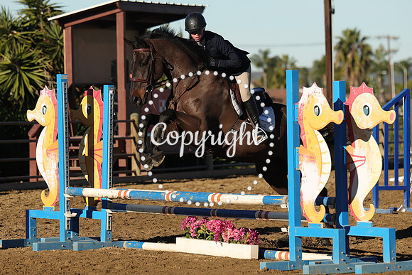 IMG_1206CRD1