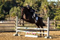 IMG_1213CRD1