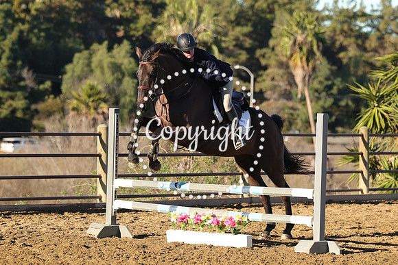 IMG_1213CRD1