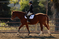 IMG_4366CRD2