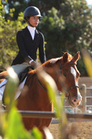 IMG_4392CRD2