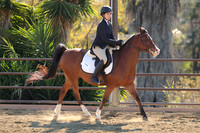 IMG_4407CRD2