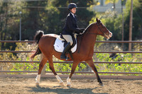 IMG_4414CRD2