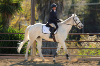 IMG_4427CRD2