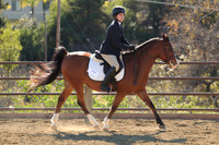 IMG_4467CRD2