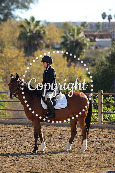 IMG_4491CRD2