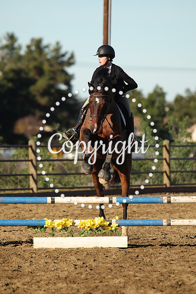 IMG_1411CRD1