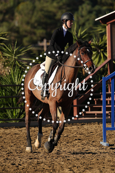IMG_1402CRD1
