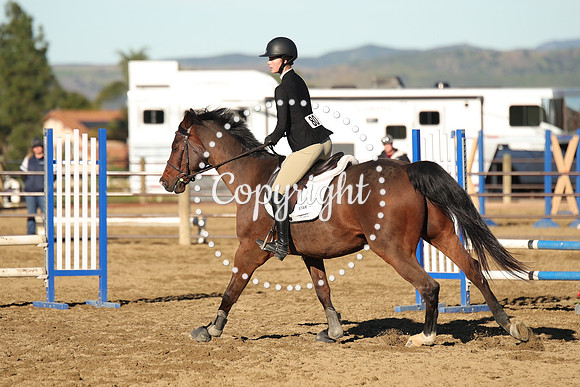 IMG_1434CRD1