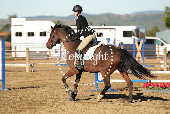 IMG_1431CRD1