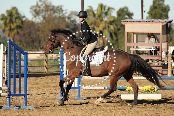 IMG_1444CRD1