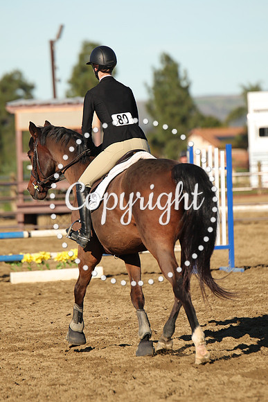 IMG_1461CRD1
