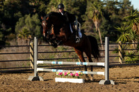 IMG_1451CRD1