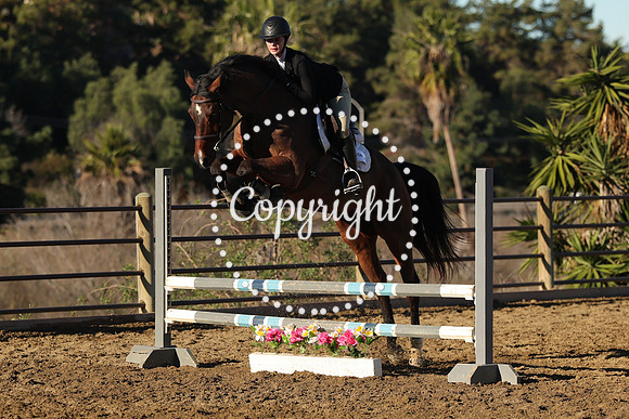 IMG_1451CRD1