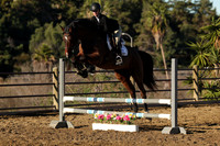 IMG_1452CRD1